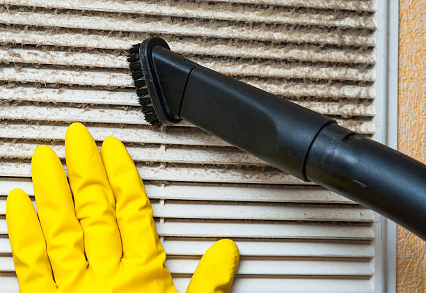 Best Local Air Duct Cleaning Services  in Pelham, GA